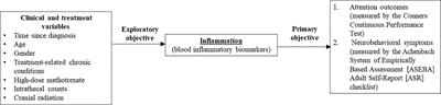 Association of markers of inflammation on attention and neurobehavioral outcomes in survivors of childhood acute lymphoblastic leukemia